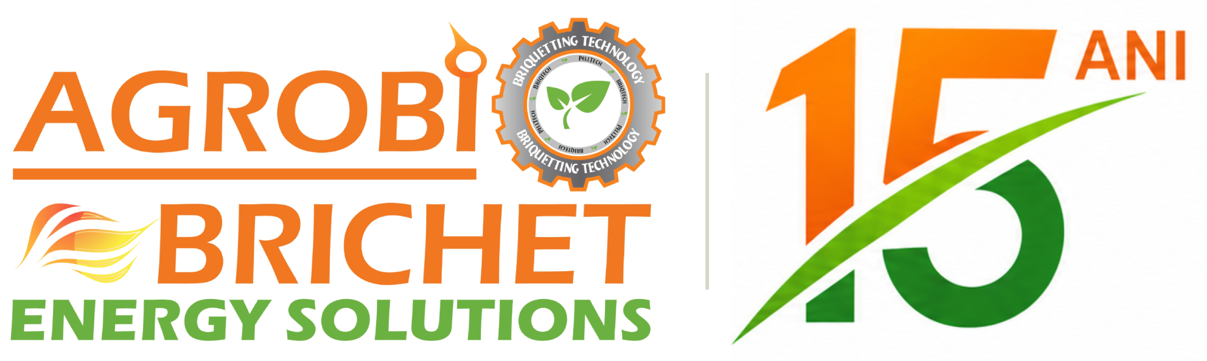 logo-15-ani